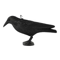 Full Body Decorative Crow With Feet And Stake